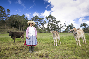 FONCREAGRO - Desarrollo de ganadería 1